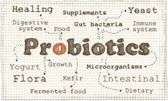 Elderly Care Nothampton PA - Are Probiotics Good for Elderly Adults?