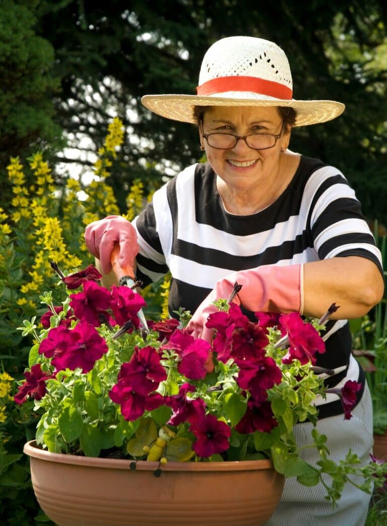 Companion Care at Home Lititz PA - Container Gardening for Seniors: Plants, Tips, and Benefits